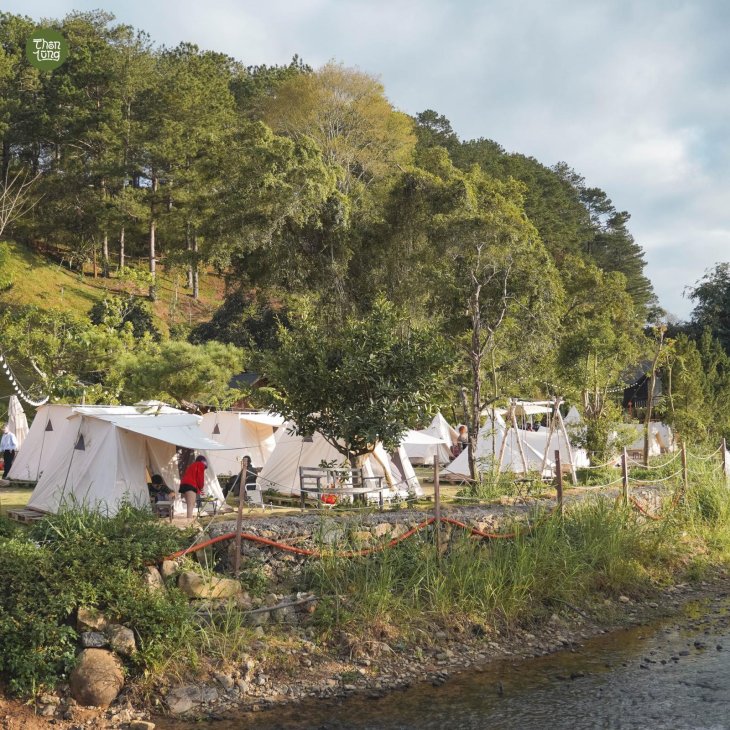 Cam Trai Thon Lung 1