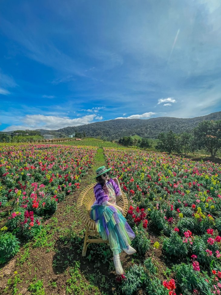 trang phuc di da lat thang 2