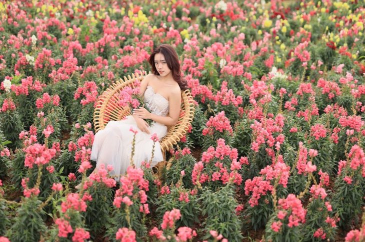 Hoa Mom Soi The Florest