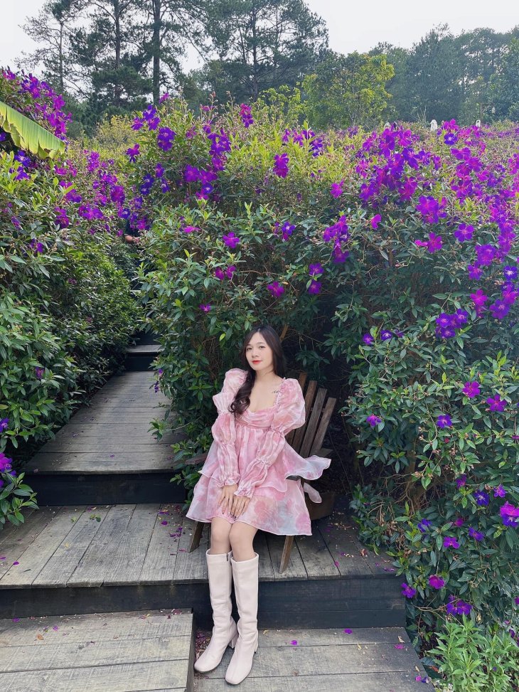 Hoa Sim Tim Tiem Cafe Trong Rung