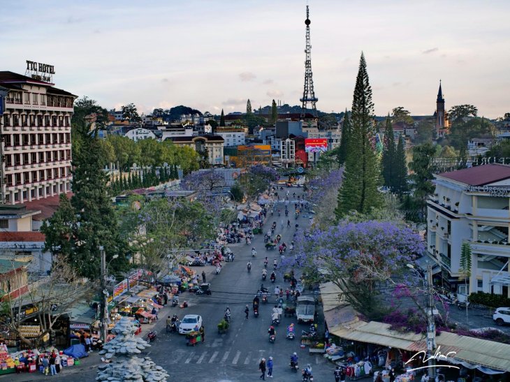 Phuong Tim Cho Da Lat 2023