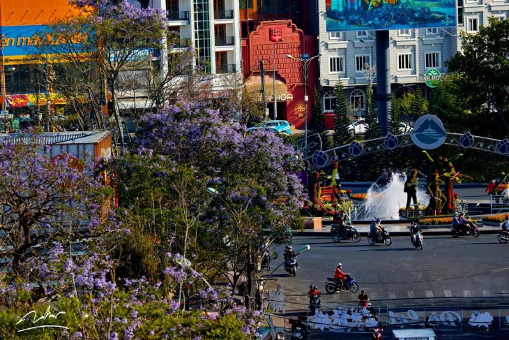 Phuong Tim Cho Da Lat 2023 Tu Tren Cao