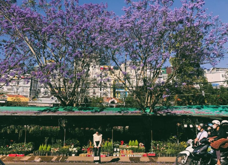 Phuong Tim Cho Da Lat Thu Thuy