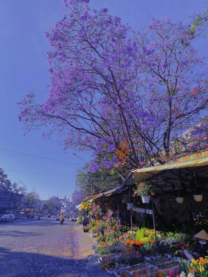 Phuong Tim Loi Vao Cho Da Lat