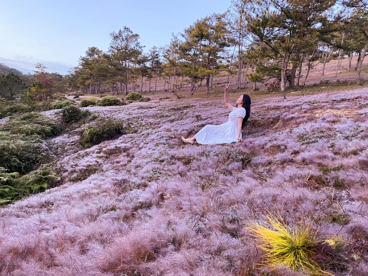 check in da lat 2022 doi co hong