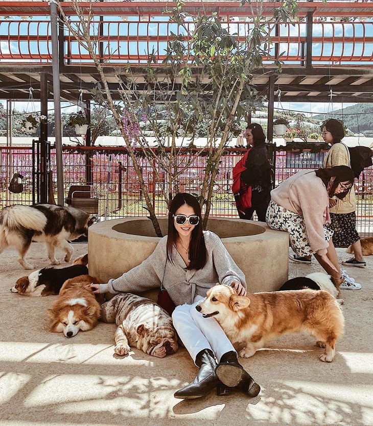 check in da lat 2022 puppy farm