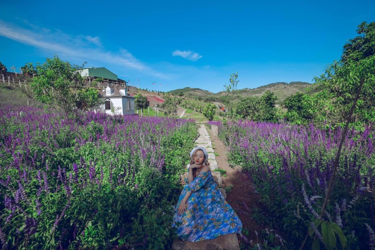 check in da lat 2022 thung lung hoa ta nung