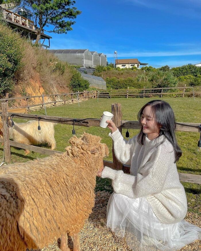 check in da lat 2022 chika farm