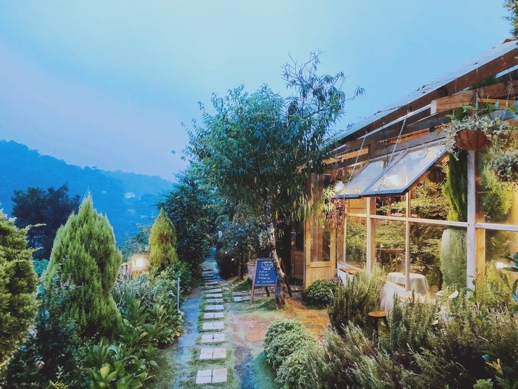 Cafe Phong Cach Han Quoc Da Lat Mua He Tuoi Dep