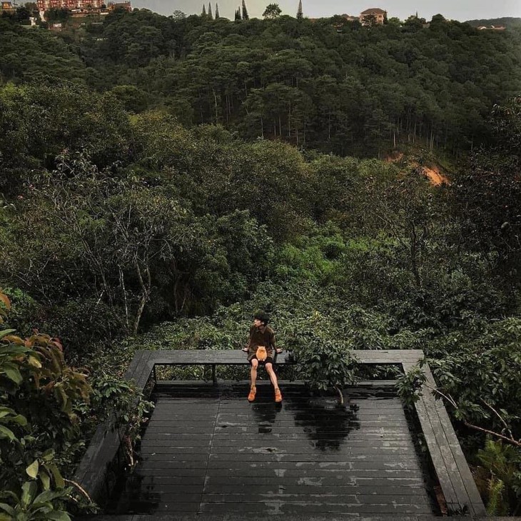 Quan Ca Phe Han Quoc Da Lat Sitooterie