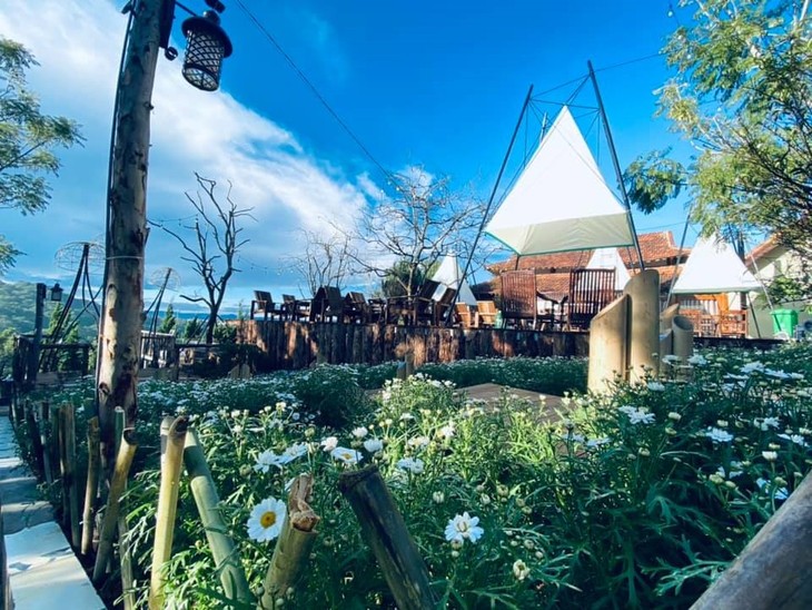 Quan Ca Phe Han Quoc O Da Lat Ngay Cua Nang