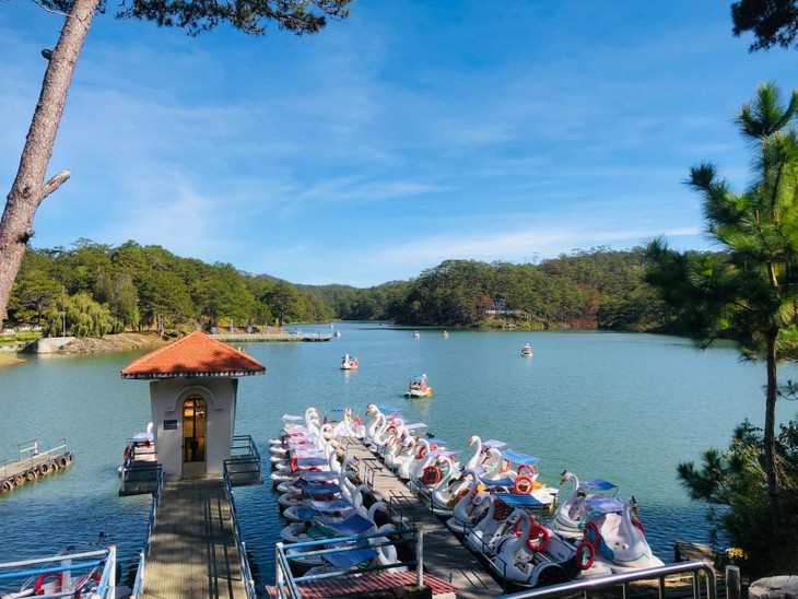 272756510 2733991406908762 2497344737236434156 N