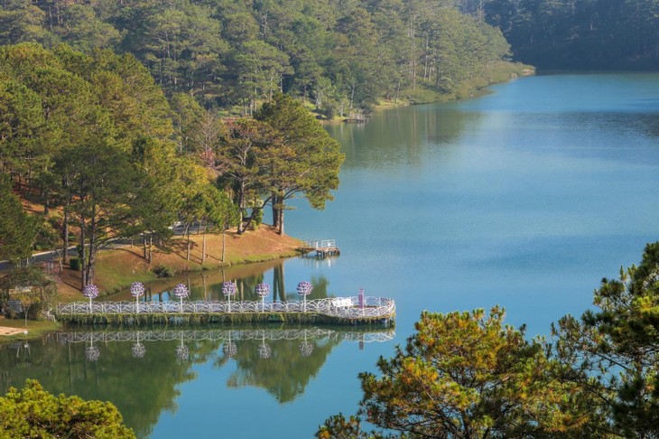 274582708 2748518905456012 1442167457215124417 N