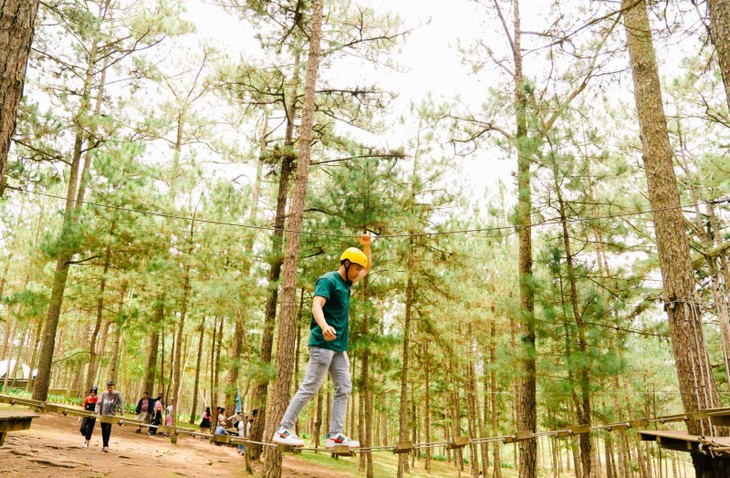 296954039 5201154963330717 5489378067926454885 N