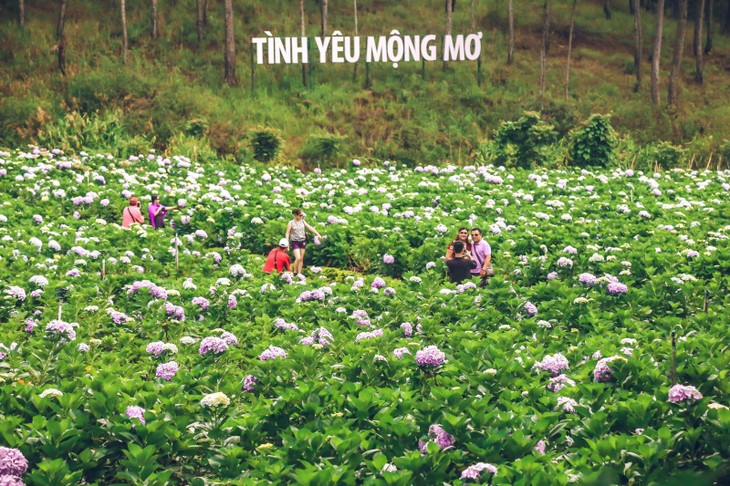 9fe35b14b08172df2b90