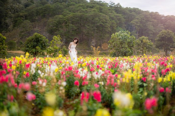 khu du lich Da Lat The Florest 3