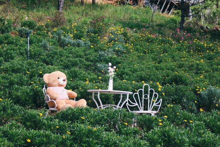 Khu Du Lich Lavender 2