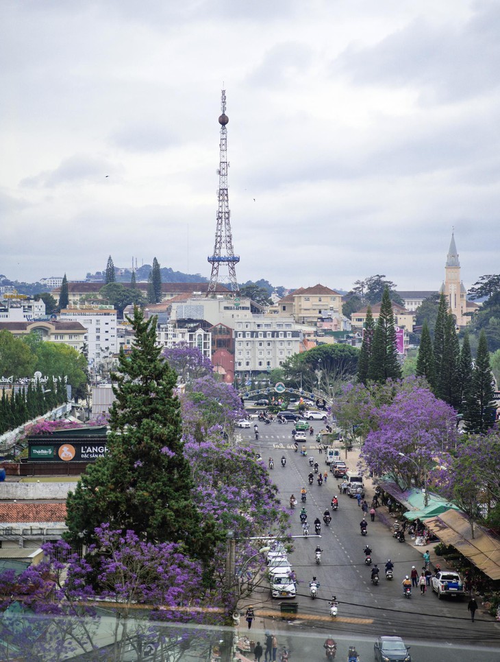 Hoa Ban Trang Da Lat