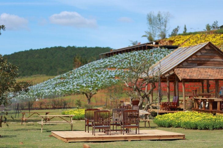 The Florest teambuilding da lat 2