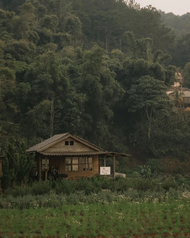 298799604 7882929311749342 4683233581441121122 N