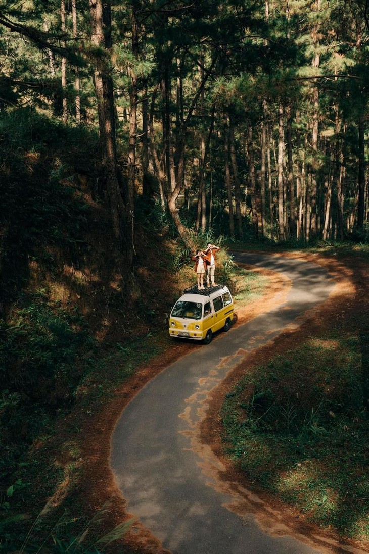 298878742 7882145645161042 5014011134172428292 N