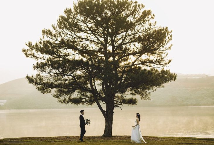 Anh Cuoi Da Lat Cay Thong Co Don