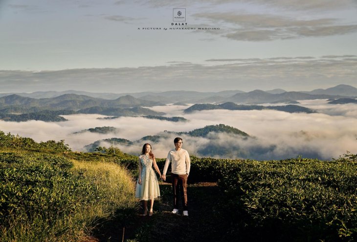 Anh Cuoi Doi Che Cau Dat 1