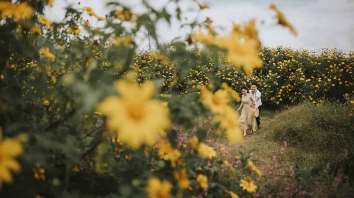 Anh Cuoi Hoa Da Quy Da Lat