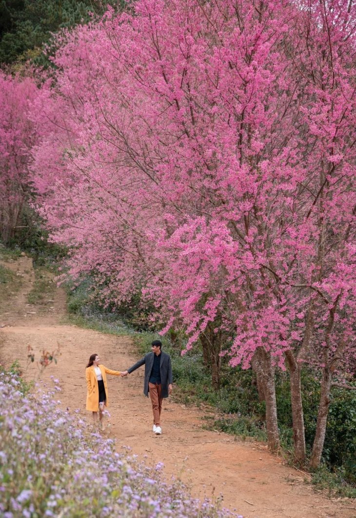 Anh Cuoi Mong Dao Nguyen Da Lat