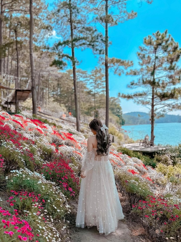 Phim Truong Da Lat Happy Hill