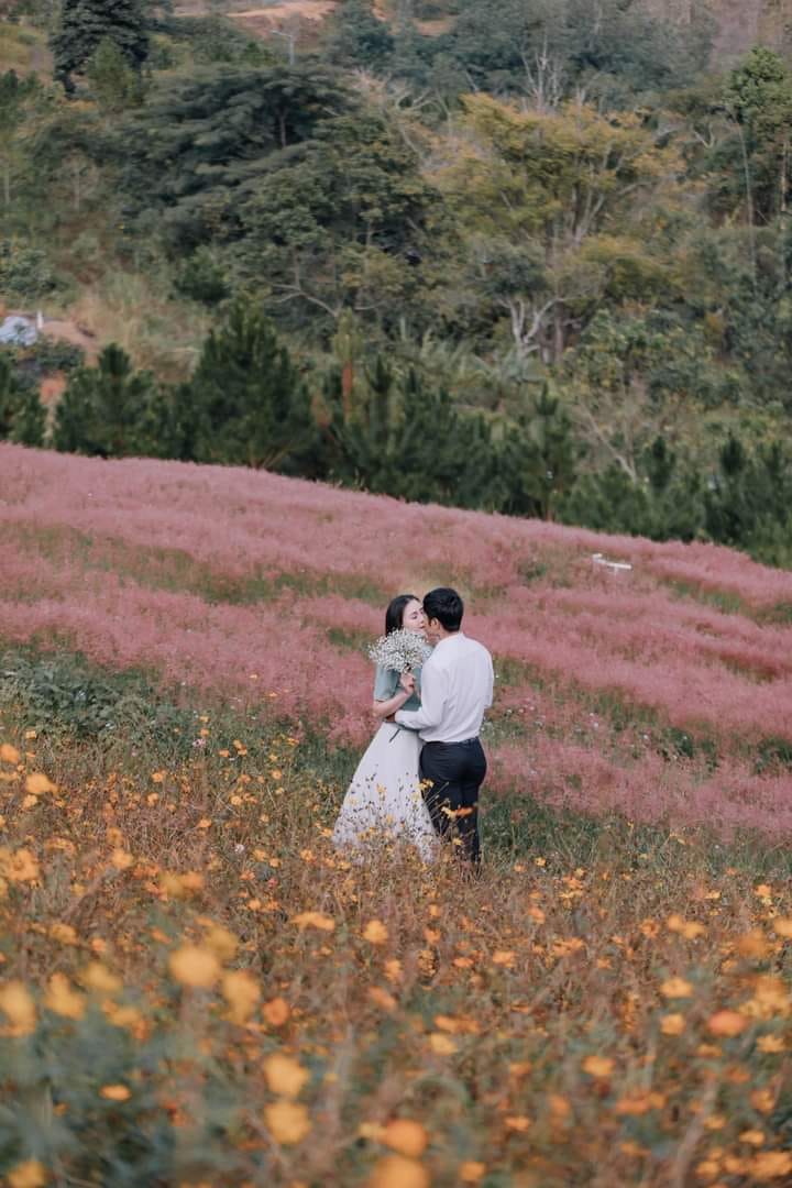 Phim Truong Thao Nguyen Hong Da Lat