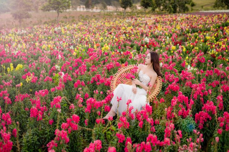 The Florest vuon hoa lon nhat Da Lat 2