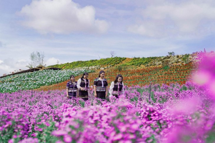 Vuon Hoa Lon Nhat Da Lat The Florest