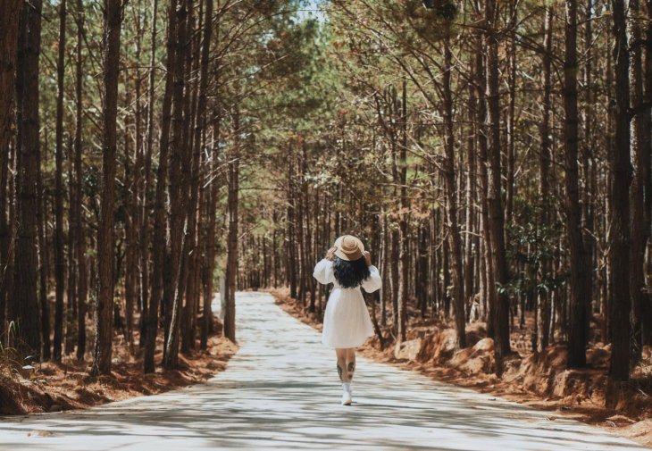 Duong Vao The Florest Vuon Hoa Lon Nhat Da Lat