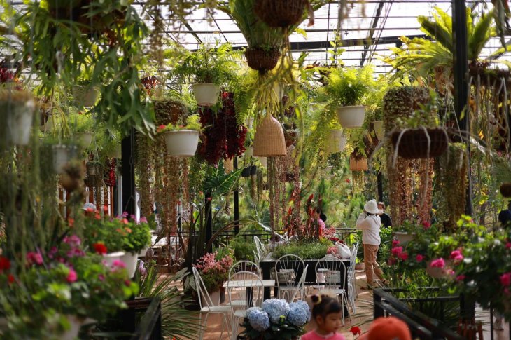 Cao Nguyen Hoa Ta Nung 1