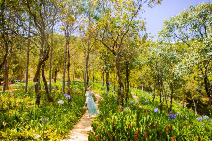 Cao Nguyen Hoa Ta Nung 3