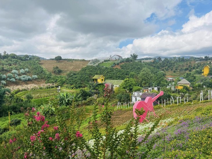 Thung Lung Hoa Ta Nung 1