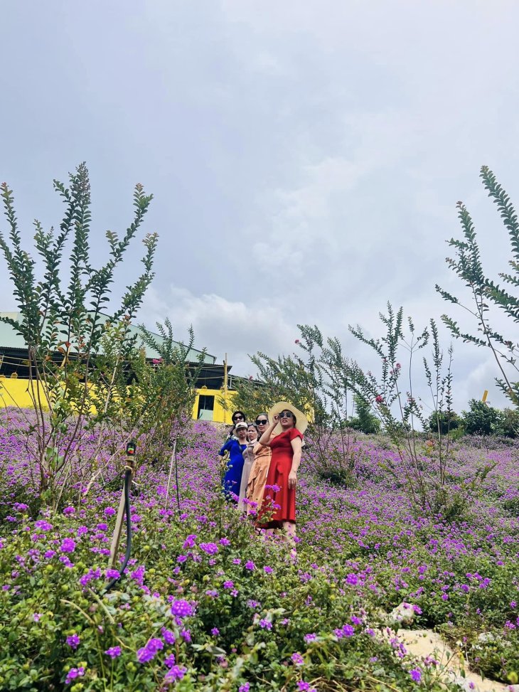 Thung Lung Hoa Ta Nung 2