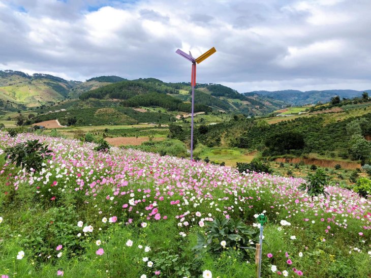 Thung Lung Hoa Ta Nung 3