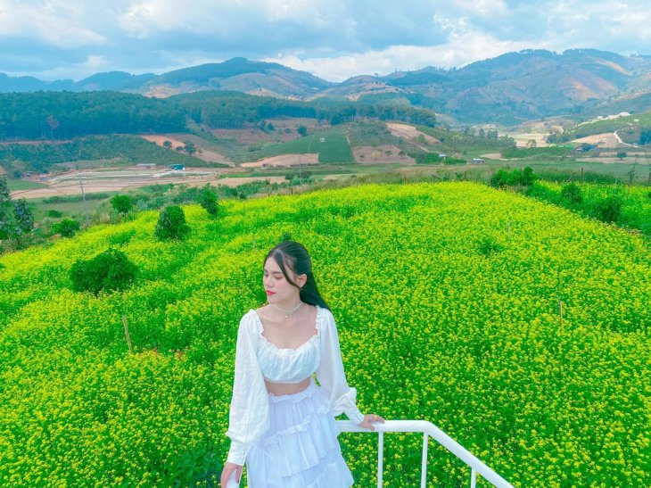 Thung Lung Hoa Ta Nung 4