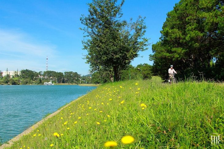 Hoa Bo Cong Anh Da Lat