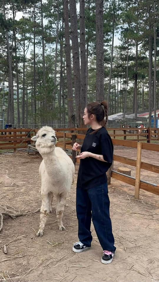 Ao Thun Quan Ong Rong