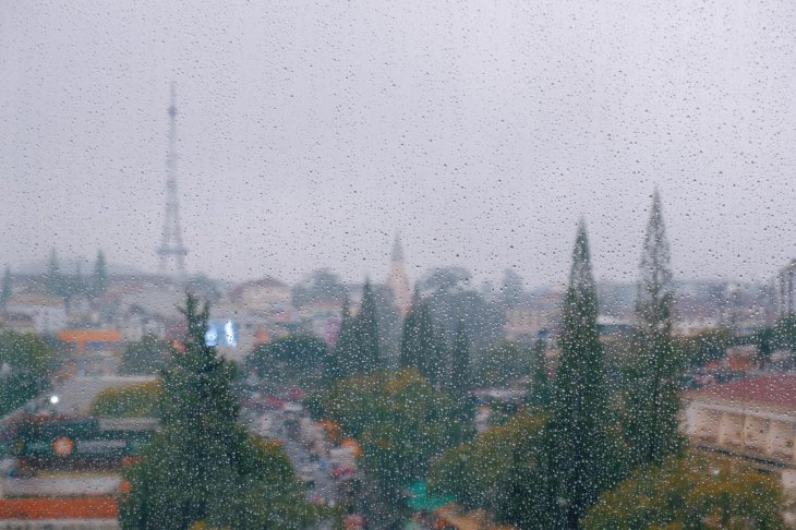 TASTY Da Lat Ngay Mua