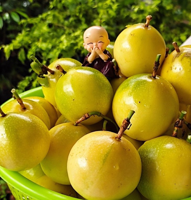 Chanh Leo Vang Da Lat