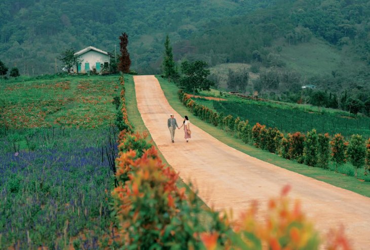 Dia diem chup anh cuoi Da Lat The Florest 3