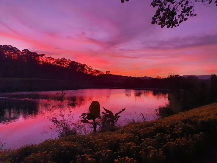 The Florest Camping Ngam Hoang Hon Da Lat