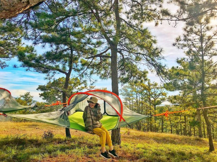 Cam Trai Trong Thung Lung Vang Da Lat