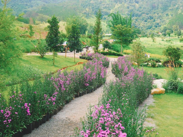 Dia Diem Teambuilding Da Lat The Florest 1