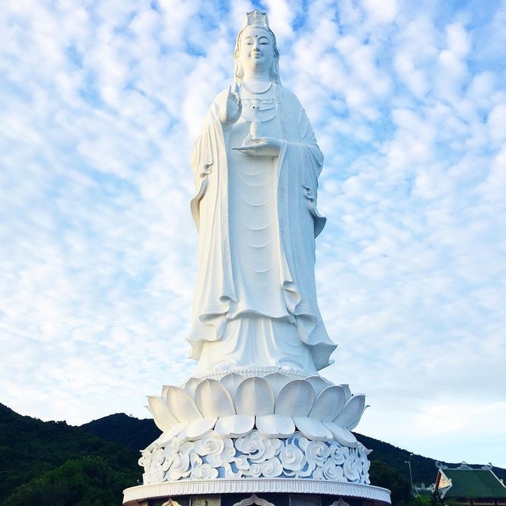 11311890 1619608138309347 1234264234 N