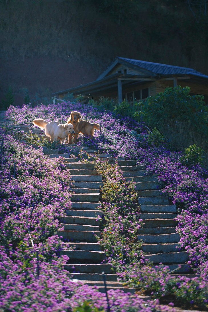 271991305 350354420254911 8522059982251773710 N